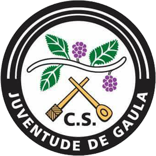 Juventude de Gaula